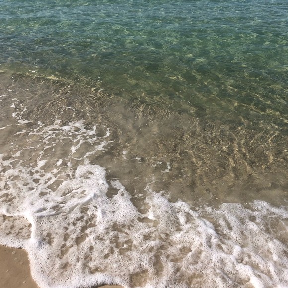 Meet your Posher, Shannon - Picture 1 of 8